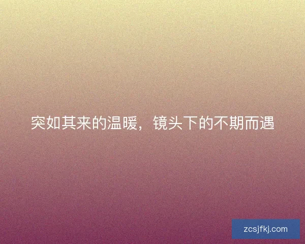 突如其来的温暖，镜头下的不期而遇